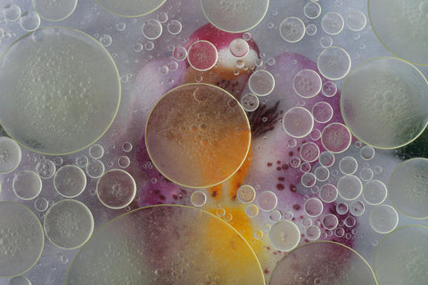 Futures 2026 Report Collection: Future Five & Future Forecast