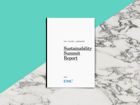 Sustainability Summit Report 2016